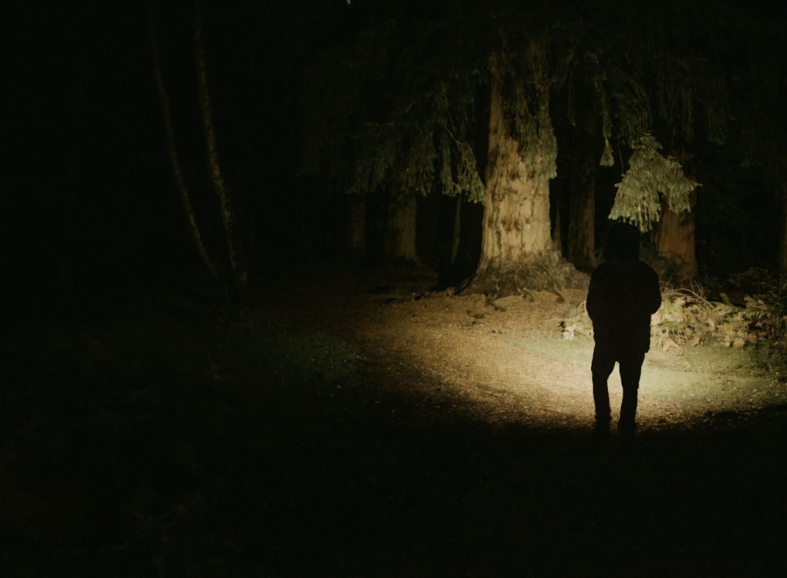 screenshot 20250901 225643 google